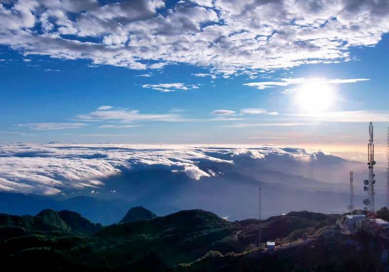 Los pinos de Boquete